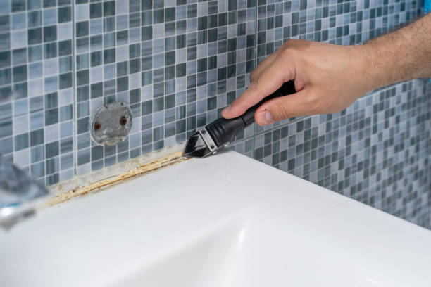 Best Fast Mold Removal  in North Randall, OH