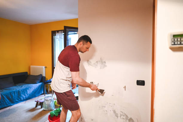 Best Affordable Mold Removal  in North Randall, OH